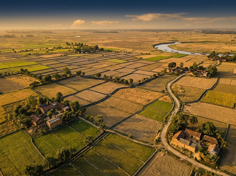 Revenue and land